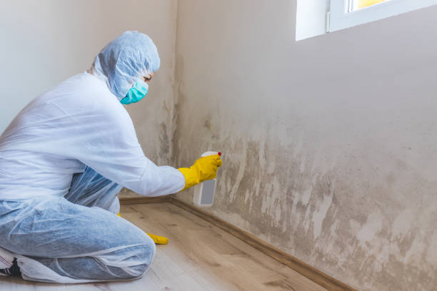 Crawl Space Mold Remediation treatment of floor joists in Westminster
